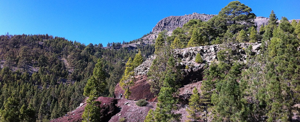 Fillarointia Teneriffalla